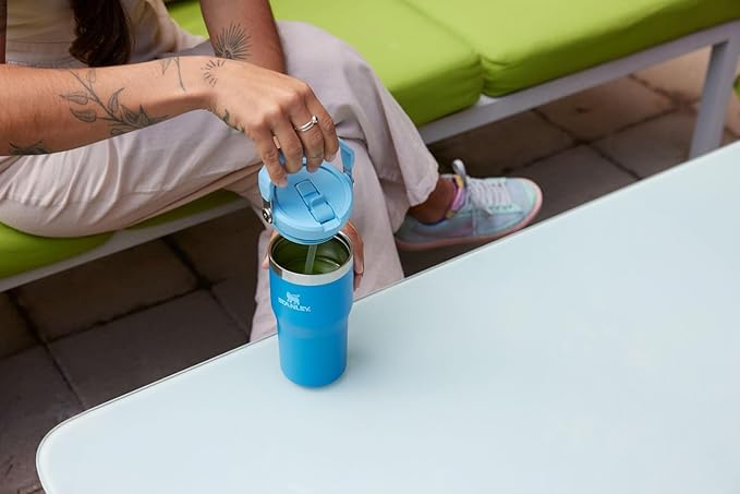 STANLEY IceFlow 2.0 Flip Straw Tumbler with Handle 20 oz | Twist On Lid and Flip Up Straw | Leakproof Water Bottle | Insulated Stainless Steel | BPA-Free | Meadow