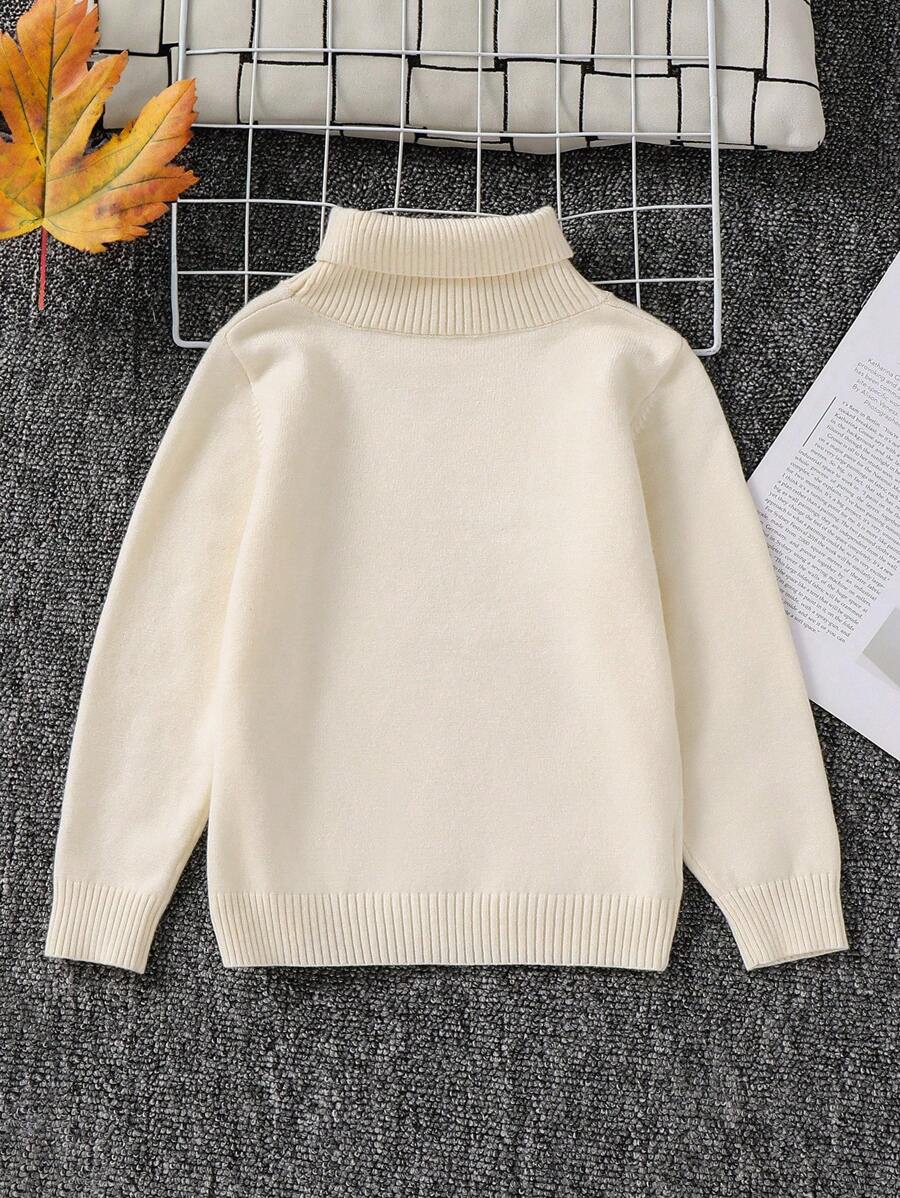 1pc Young Boys' Casual Comfortable Solid Color Versatile Loose Fit Turtleneck Sweater