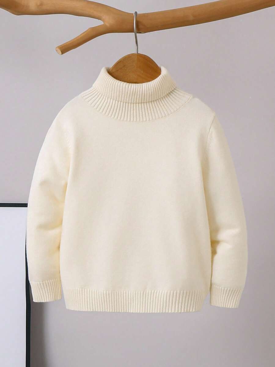 1pc Young Boys' Casual Comfortable Solid Color Versatile Loose Fit Turtleneck Sweater