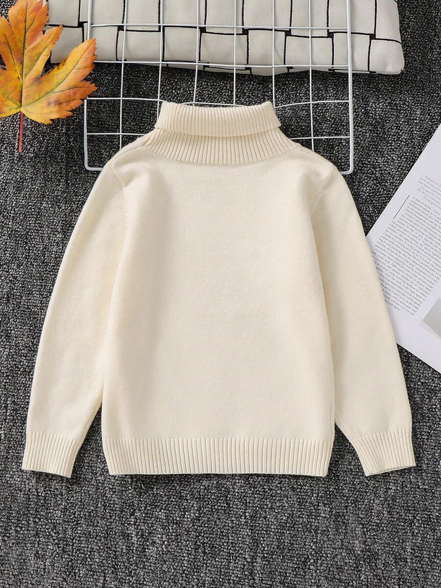 1pc Young Boys' Casual Comfortable Solid Color Versatile Loose Fit Turtleneck Sweater