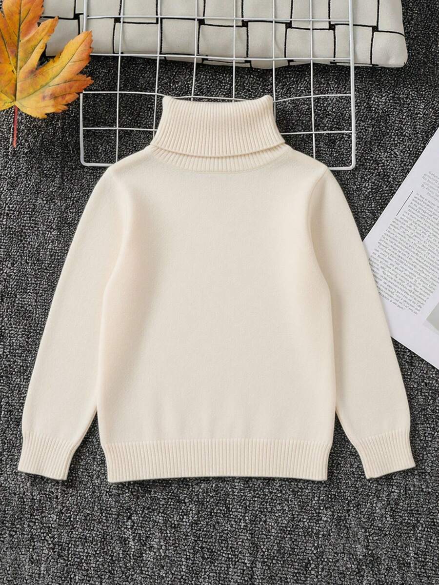 1pc Young Boys' Casual Comfortable Solid Color Versatile Loose Fit Turtleneck Sweater
