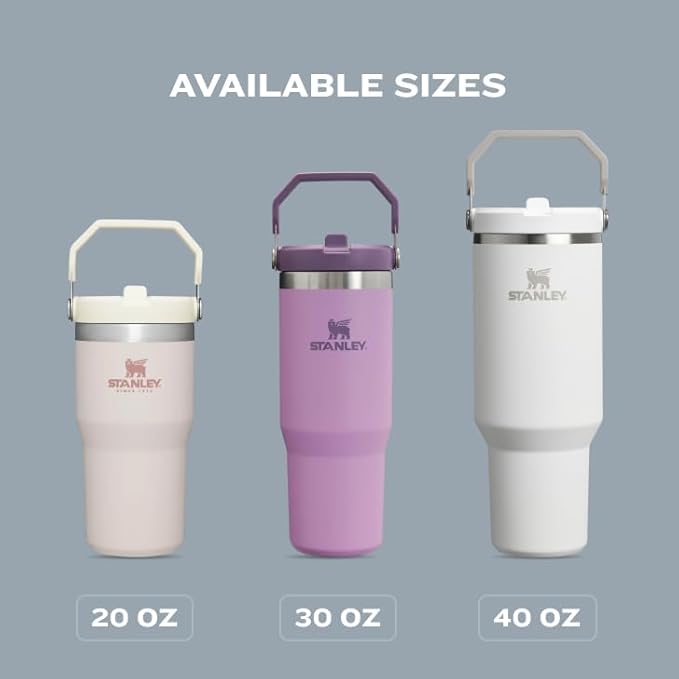 STANLEY IceFlow 2.0 Flip Straw Tumbler with Handle 30 oz | Twist On Lid and Flip Up Straw | Leak Resistant Water Bottle | Insulated Stainless Steel | BPA-Free | Meadow