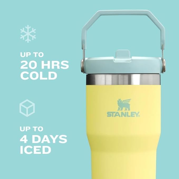 STANLEY IceFlow 2.0 Flip Straw Tumbler with Handle 30 oz | Twist On Lid and Flip Up Straw | Leak Resistant Water Bottle | Insulated Stainless Steel | BPA-Free | Exclusive Thyme