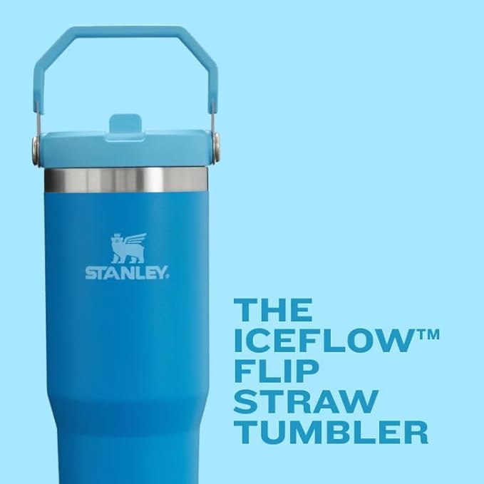 STANLEY IceFlow 2.0 Flip Straw Tumbler with Handle 30 oz | Twist On Lid and Flip Up Straw | Leak Resistant Water Bottle | Insulated Stainless Steel | BPA-Free | Violet Blossom