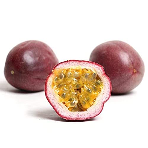 Dr Joe Lab Maracuja - Passion Fruit Seed Oil - Pure Sourced Filtered Carrier Oil for Face Skin Lips Body Hair Natural Extra Virgin Moisturizer DIY Soaps Cream - Cocojojo (4 oz)