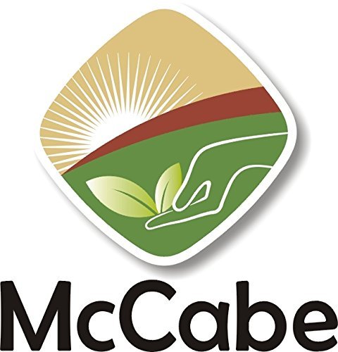 McCabe Organic Oat Flour White - Oat Flour Organic | Rich with Fiber & Minerals | USDA and CCOF Certified | Product of USA | 2Lbs