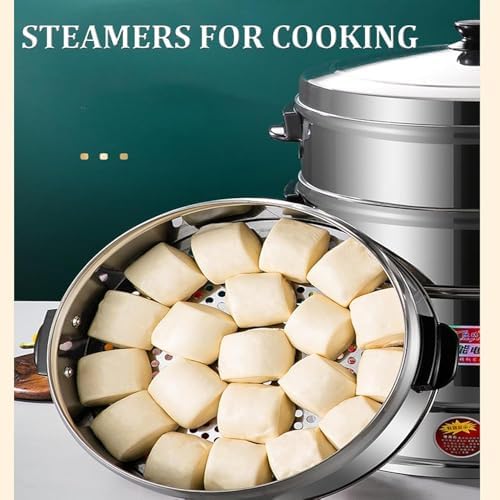 3-Tier Stainless Steel Electric Food Steamer - Automatic Temperature Control for Healthy Cooking, Ideal for Breakfast & Meal Prep, Fast & Efficient Steam Cooking