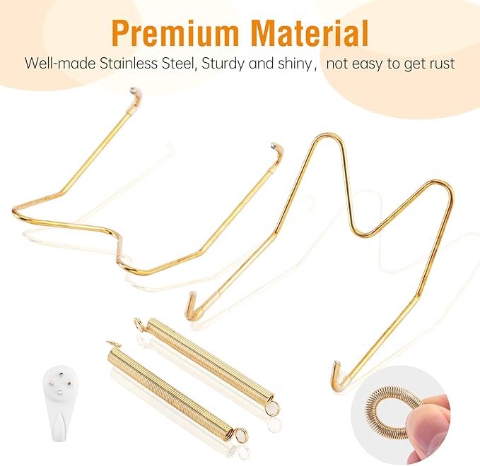 Plate Hangers for The Wall, Suitable for 12-16 inch Decorative Plate, Stainless Steel Wire Plate Holder with Wall Hooks and Rubber tip Protectors, Plate Hangers for Displaying Plates, Platter, Gold