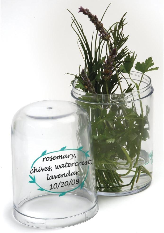 Norpro Fresh Herb Keeper Refrigerator Container Basil Cilantro Etc. 9" x 3.75"