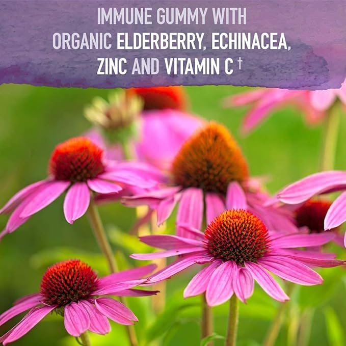 Garden of Life Organics Elderberry Gummies for Adults & Kids - Immune Support Supplement with Organic Fruit & Organics Women 40+ Gummy Vitamins - Berry - Certified Organic