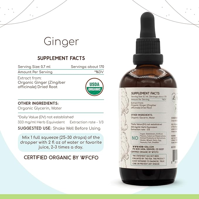 Ginger B120 USDA Organic Tincture | Alcohol-Free Extract, High-Potency Herbal Drops | Certified Organic Ginger (Zingiber officinale) Dried Root (4 oz)