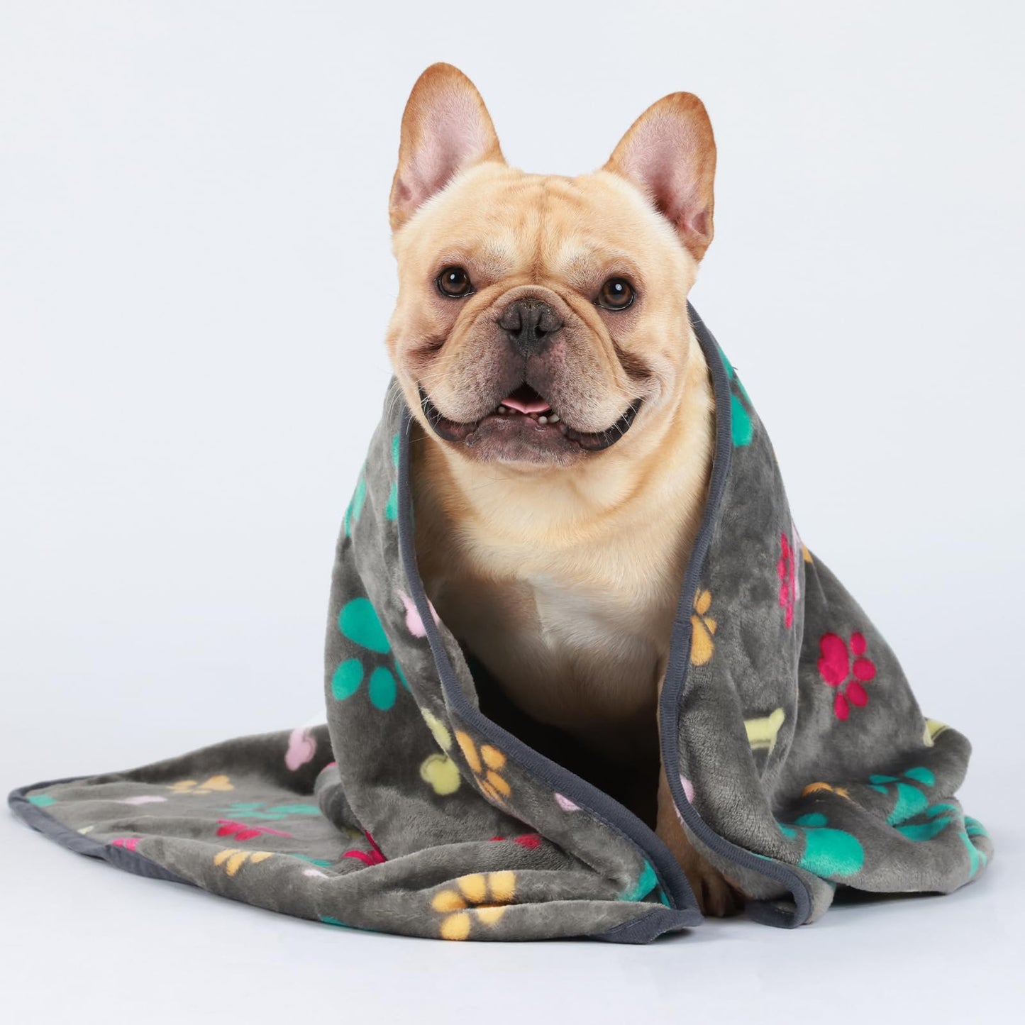 Luciphia 1 Pack 3 Blankets Fluffy Premium Fleece Pet Blanket Flannel Paw Printed Throw for Dog Cat(Small 23x16'', Grey/Brown/Blue)