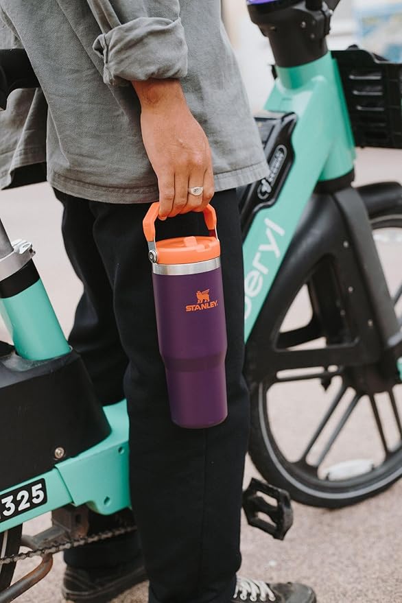 STANLEY IceFlow 2.0 Flip Straw Tumbler with Handle 20 oz | Twist On Lid and Flip Up Straw | Leakproof Water Bottle | Insulated Stainless Steel | BPA-Free | Dark Blossom