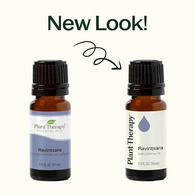 Plant Therapy Ravintsara Essential Oil 10 mL (1/3 oz) 100% Pure, Undiluted, Therapeutic Grade