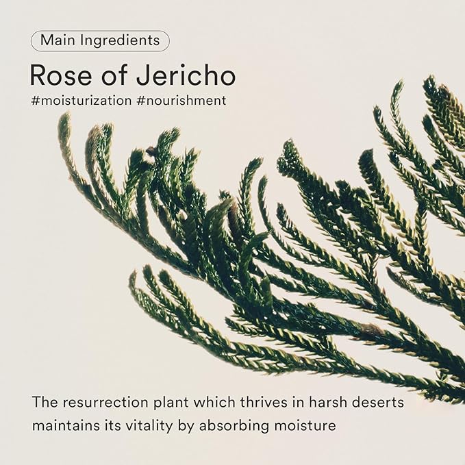 Abib Jericho Rose Bifida Serum Firming Drop 1.69 fl.oz. | Deep Hydration Serum for Dry Skin, Barrier Strength & Skin Bounce | Moisturizing Korean Skincare