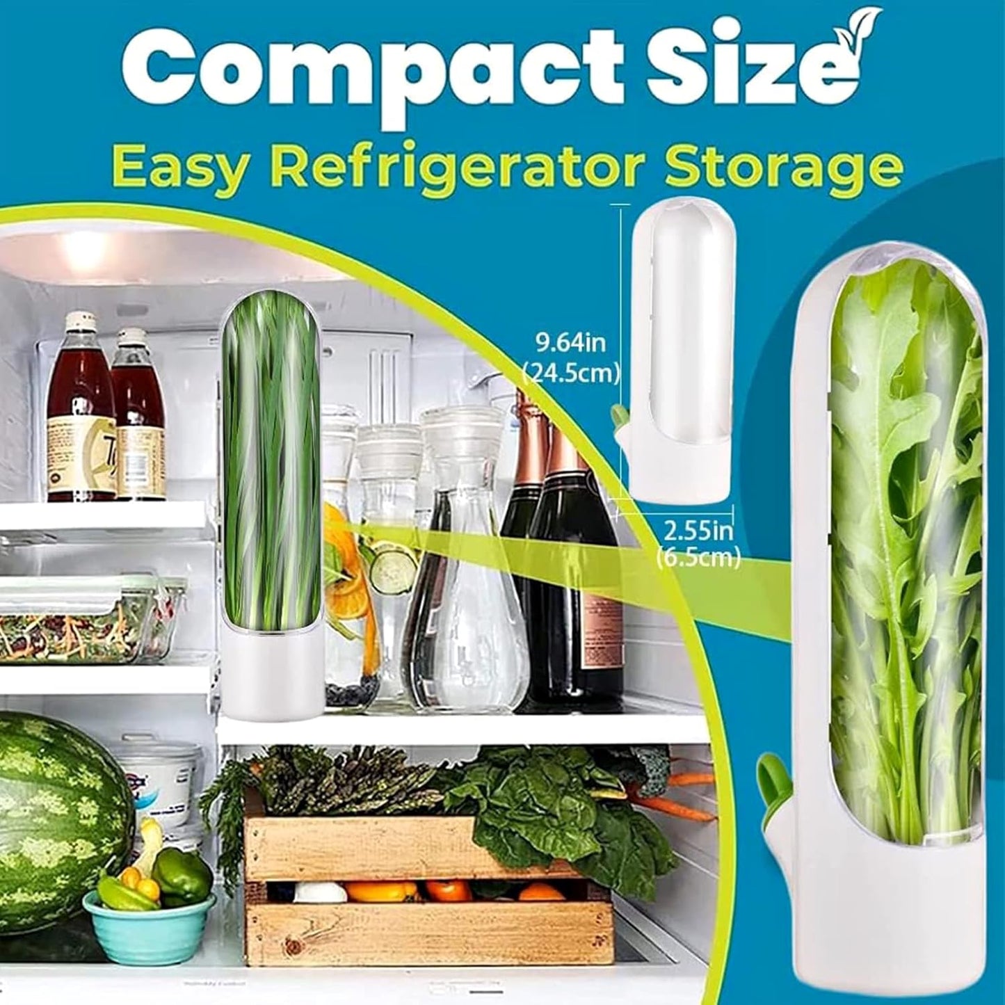 Herb Saver for Refrigerator, Herb Saver Pod Cilantro Containers for Refrigerator, Fresh Herb Keeper for Cilantro, Parsley, Asparagus, Mint, Keeps Vegetables for 2-3 Weeks (1PCS)