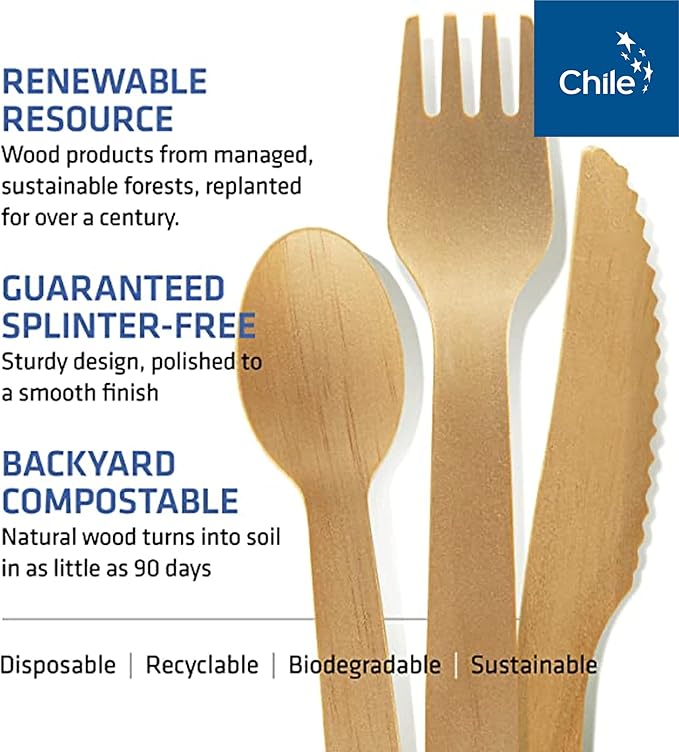 Disposable Wooden Cutlery Set - 100% Home Compostable - 100 Spoons 6.5", Bamboo Utensils Alternative, Eco-Friendly, Organic, Sustainable and Carbon Neutral Certified