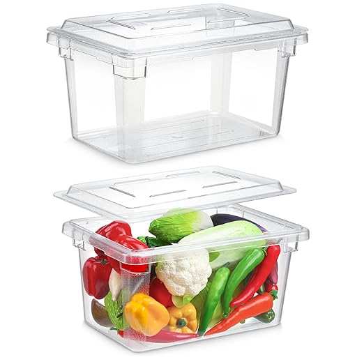 2 Pack 5 Gallon Polycarbonate Food Storage Box 18 x 12 Inch Commercial Food Storage Container Clear Vegetable Fruit Food Safe Storage Tote for Kitchen Restaurant Cafeteria