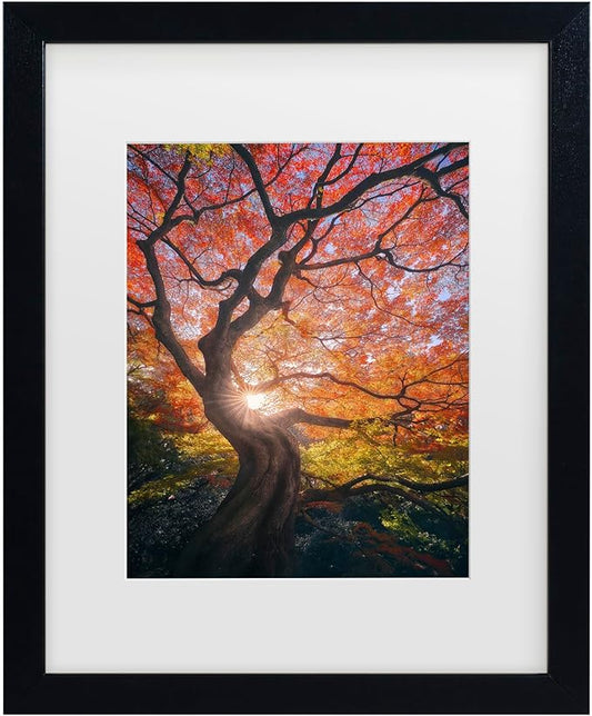 Trademark Fine Art Framed Wall Art - Javier De La 'The Japanese Tree' Wall Decor with Matted Frame