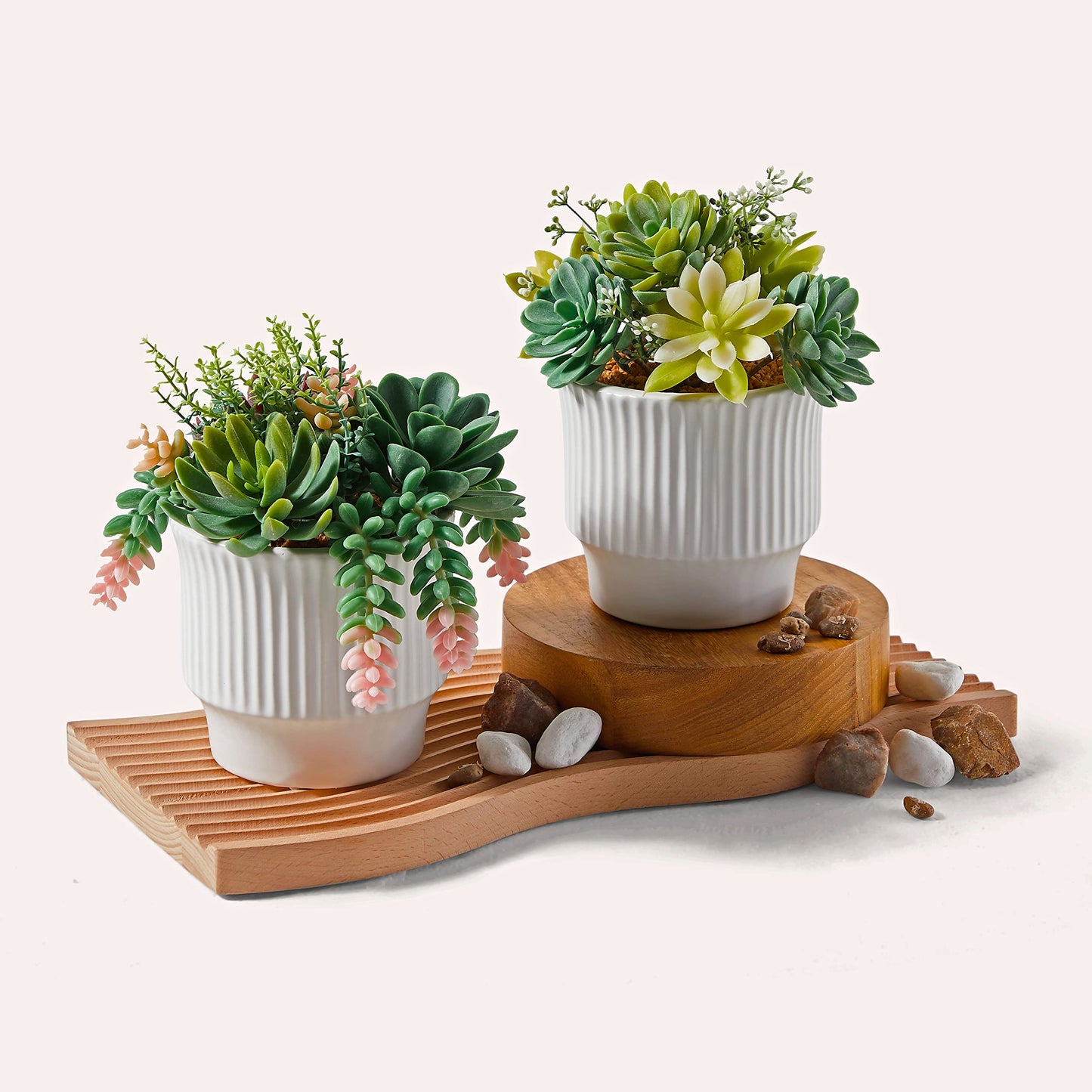 ASTRIDIA Artificial Succulent Plants, Faux Assorted Succulents Fake Plants in White Ceramic Pots for Home Decor, Bedroom, Office, Desk, Living Room, Set of 2