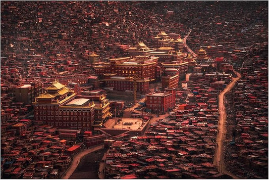 Trademark Fine Art Canvas Wall Art - TIANQI 'The Buddha domain' Wall Art for Living Room, Bedroom, or Office Décor