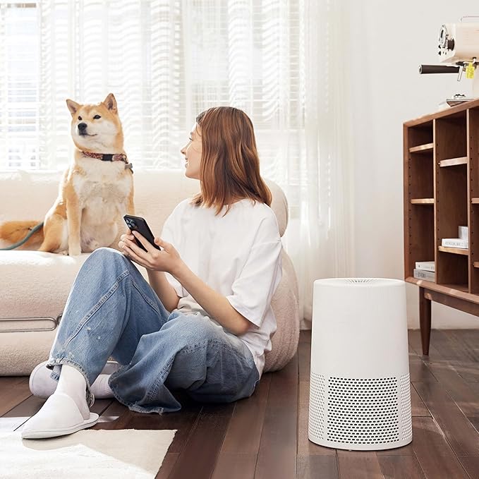 Amazon Basics Air Purifier for Home and Office, With 3-Stage Filtration, HEPA Filter With Activated Carbon, 3 Speeds, Timer, Sleep Mode (32db), Energy Star Certificate, Covers Up to 1067 Sq ft, White